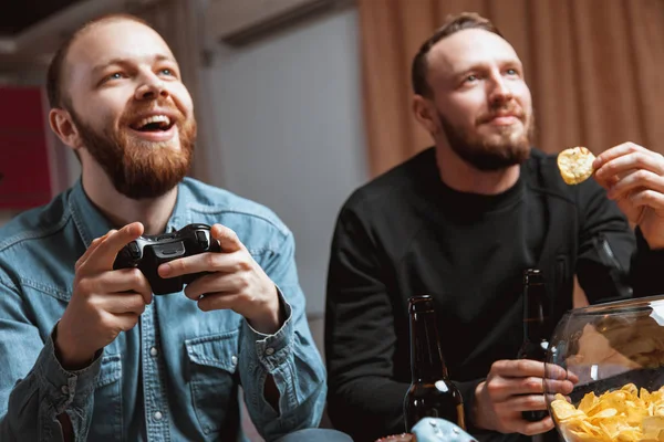 Homens com barba sentados no sofá em casa com cerveja e joysticks nas mãos de jogar videogames de computador — Fotografia de Stock