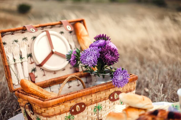 Picknick instellen met kaas, toast — Stockfoto