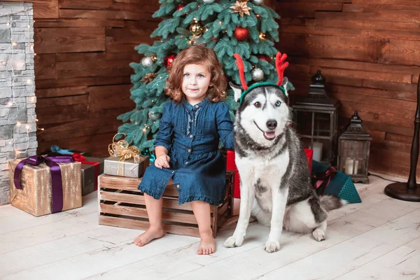 Mooi meisje kinderspel met de hond. — Stockfoto