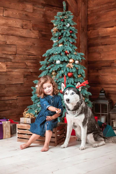 Mooi meisje kinderspel met de hond. — Stockfoto