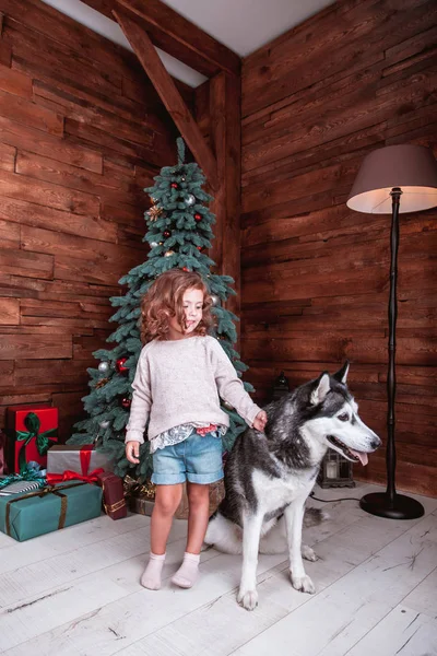 Fille jouer avec le chien — Photo