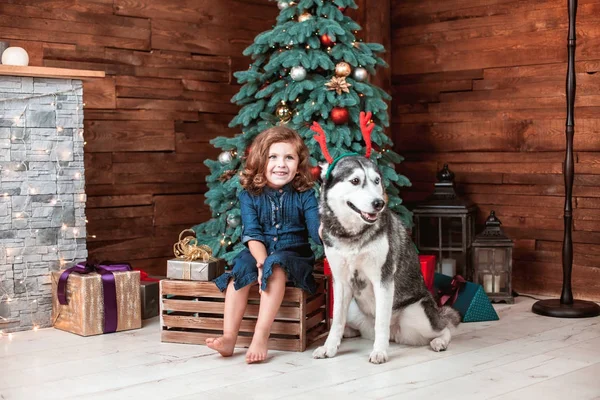 Fille jouer avec le chien — Photo