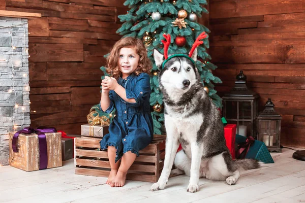 Chica jugar con el perro — Foto de Stock