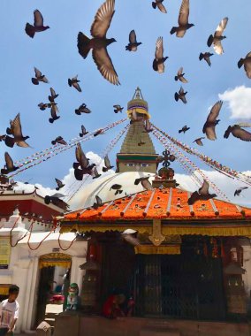 Güvercin sürüsü Nepal 'de Boudha Stupa, Katmandu' da uçuyor.