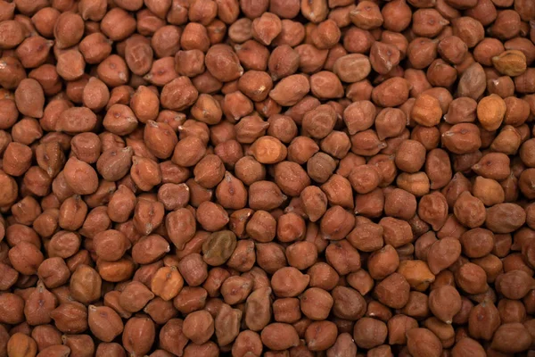 Beyaz bir zemin üzerinde besleyici siyah nohut grubu