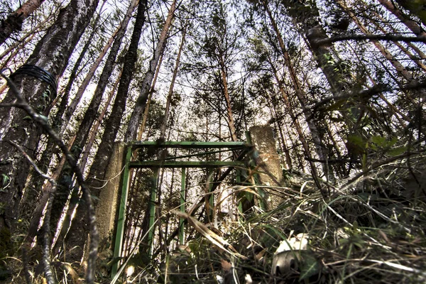 Металеві Двері Посеред Лісу Серед Дерев — стокове фото