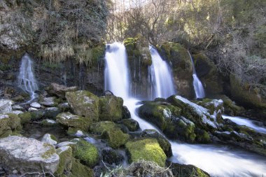 Bazı şelaleleri ve ormandaki bazı kayaları gösteren güzel manzaraya 
