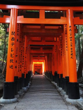 Turist Fushimi Inari Turuncu Torii Sığınağı