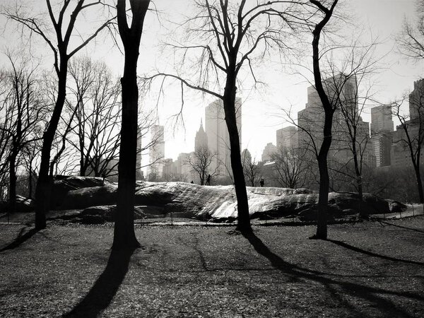 New York Central Park and some skyscrapers at the background in black and white