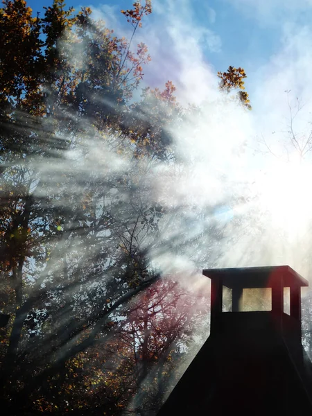 Stralen Van Licht Door Een Boom Een Barbecue — Stockfoto