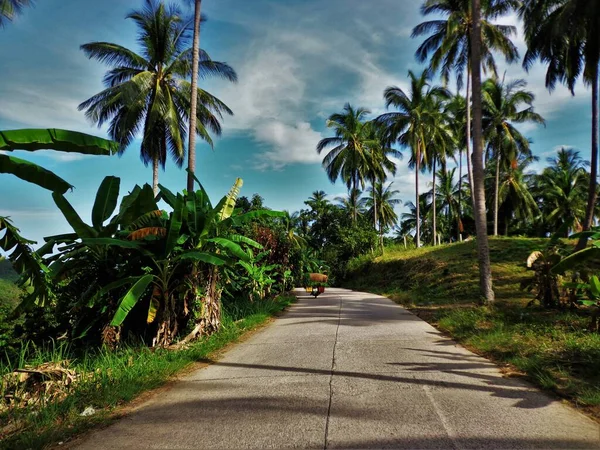 在泰国的一条公路上 一辆摩托车载着草 被蓝天下的一些棕榈树环绕着 — 图库照片