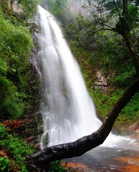 Paysage Montrant Une Cascade Appelée Thac Tinh Yeu Grand Arbre — Photo