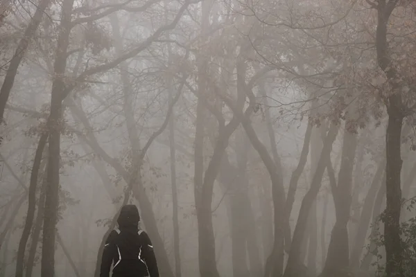 Ragazza Che Cammina Tra Nebbia Gli Alberi Una Foresta Buia — Foto Stock