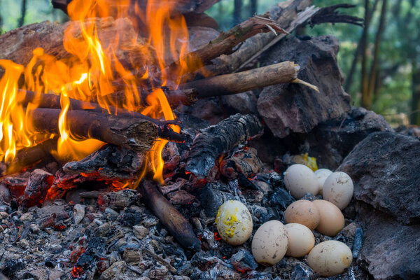 Bonfire fire with eggs close-up as a background.
