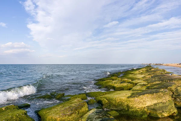 Line of natural breakwaters covered with algae. With blue sky and waves on background. Stock Photo