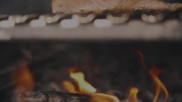 Gotowanie Łososia Ogniem — Wideo stockowe