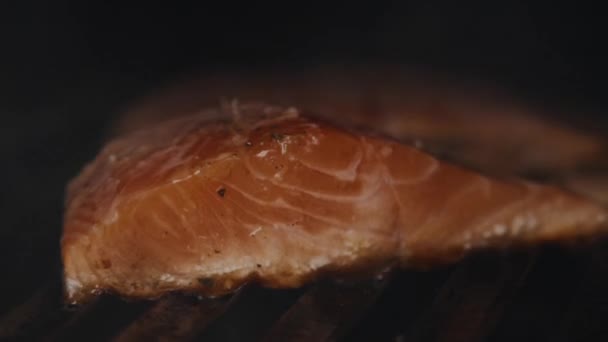 Salmone Alla Griglia Sul Barbecue — Video Stock