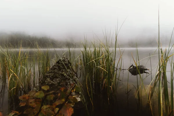 Nevoeiro Sobre Lago Montanha — Fotografia de Stock