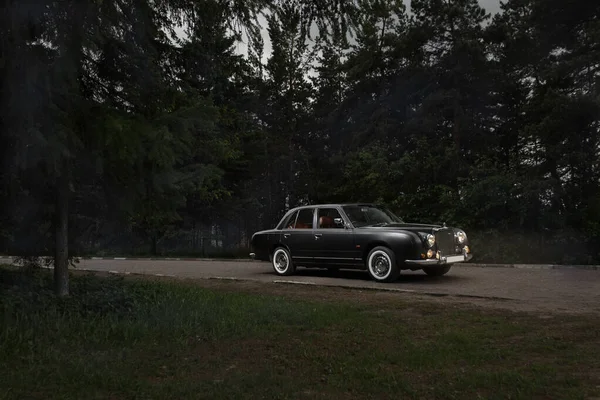 Japon iş otomobili sedan Mitsuoka Galue park yolunda farları açık halde.
