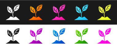 Bitki simgesini siyah beyaz arkaplanda izole et. Tohum ve tohum. İşaret bırakıyor. Yaprak doğası. Vektör İllüstrasyonu