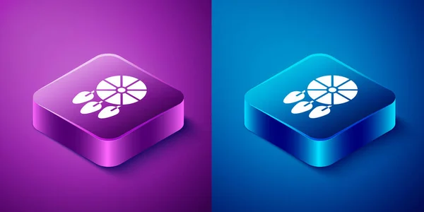 Isometric Dream Catcher Feathers Icon Isolated Blue Purple Background Square — Stock Vector