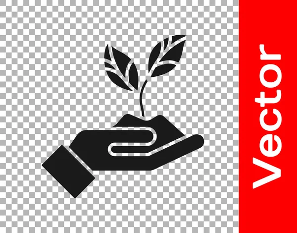 Plante Noire Main Icône Protection Environnement Isolé Sur Fond Transparent — Image vectorielle