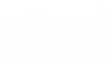 Siyah çizgi bahçe lambası ikonu beyaz arkaplanda izole edilmiş. Güneş enerjili lamba. Fener. Sokak lambası. 4K Video hareketli grafik canlandırması