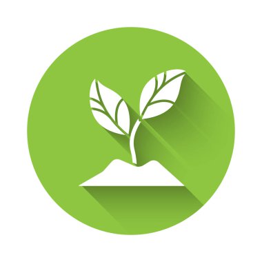 Beyaz Bitki simgesi uzun gölgeli izole edilmiş. Tohum ve tohum. İşaret bırakıyor. Yaprak doğası. Yeşil daire düğmesi. Vektör İllüstrasyonu