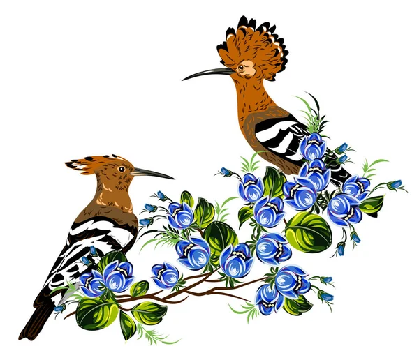 Een Paar Hoopoes Kreupelhout Van Wilde Bloemen — Stockvector