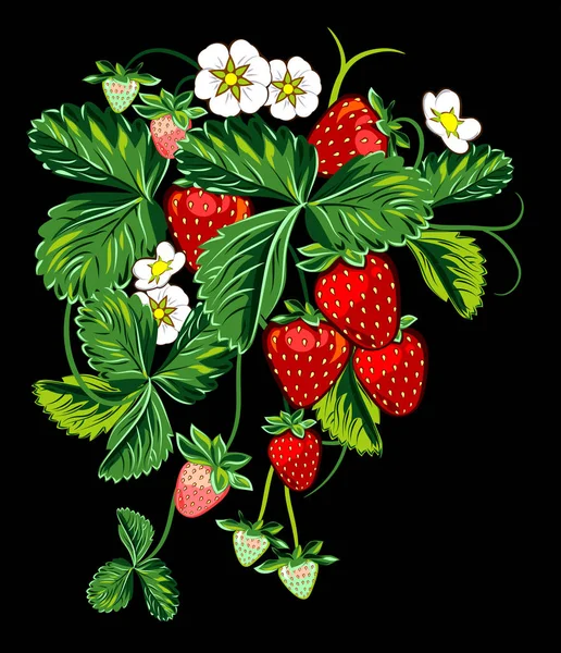 Ζουμερές Φράουλες Θάμνο Φύλλα Και Λουλούδια — Διανυσματικό Αρχείο
