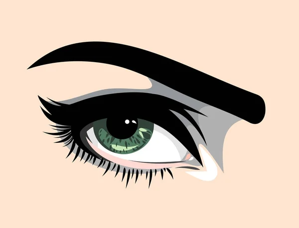 Beautiful Expressive Green Eyes Women — Stock Vector