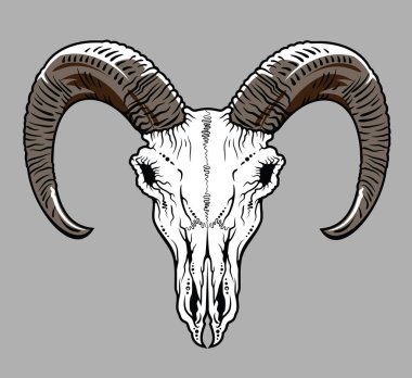 Kafatası boynuzlu bir RAM