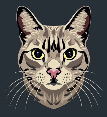 Aile içi bir tekir kedi portresi