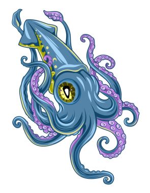 vektörel clipart kalamar, deniz hayat