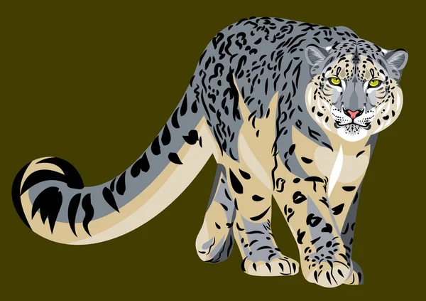 Retrato Hermoso Leopardo Nieve Gato Salvaje — Archivo Imágenes Vectoriales