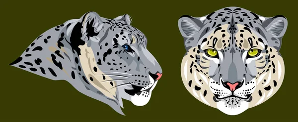 Retrato Hermoso Leopardo Nieve Gato Salvaje — Vector de stock