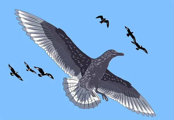 Rozprzestrzenia Się Niebo Wings Petrel — Wektor stockowy