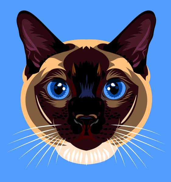 Portrait Siamese Cat — Stock Vector