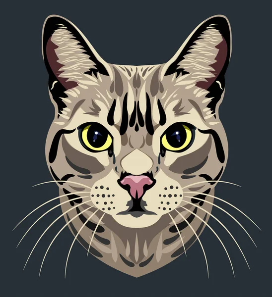 Retrato Gato Tabby Doméstico — Vector de stock
