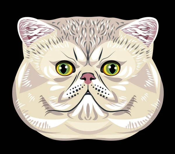 Retrato Gato Persa — Archivo Imágenes Vectoriales