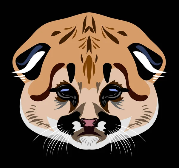 Portrait Chaton Lynx — Image vectorielle