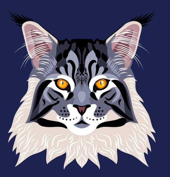 Retrato Maine Coon Gato — Vector de stock