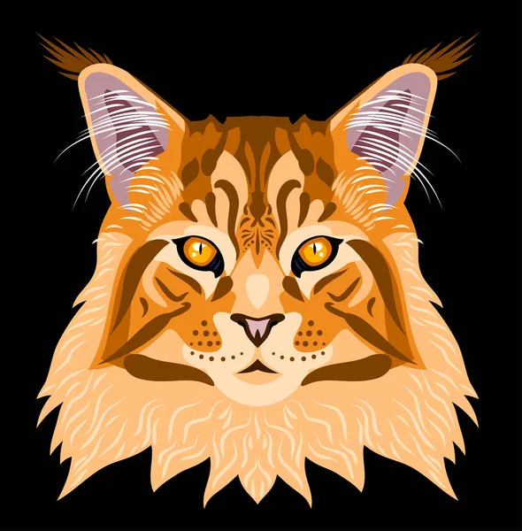 Retrato Maine Coon Gato — Vector de stock