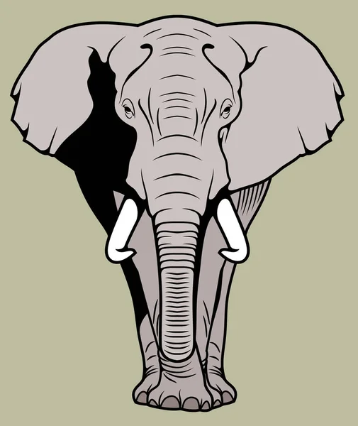Portret Van Een Afrikaanse Olifant — Stockvector