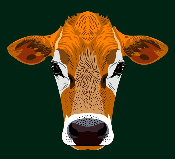 年轻母牛的画像 — 图库矢量图片
