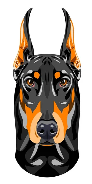 Retrato Cão Doberman — Vetor de Stock