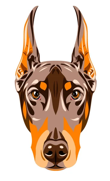 Retrato Perro Doberman — Vector de stock