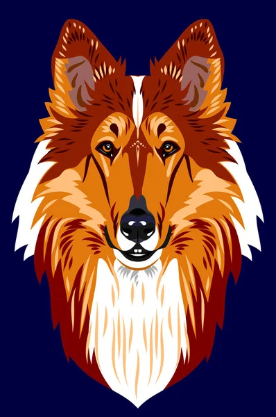 Portret Van Een Herdershond Collie — Stockvector