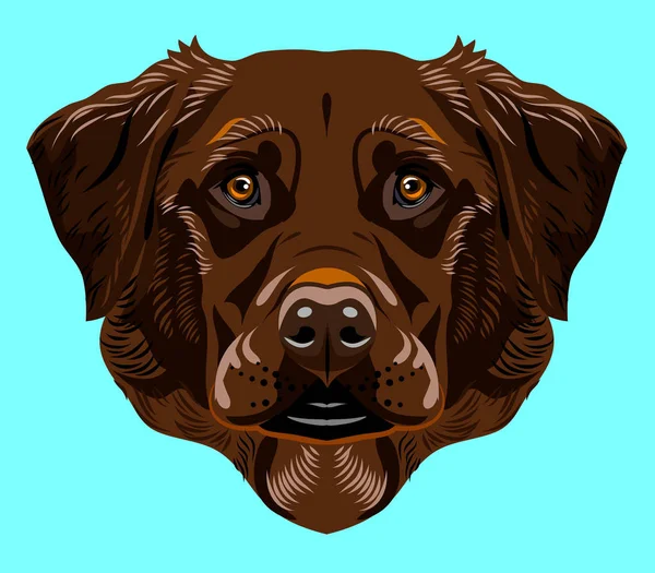 Labrador Köpek Doğurmak Portresi — Stok Vektör