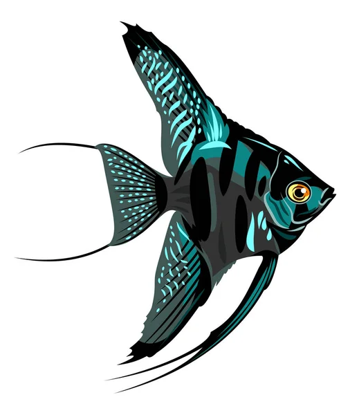 Acuario Peces Decorativos Escalar — Vector de stock